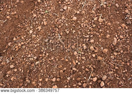 Indian Brown Soil Background From The Field