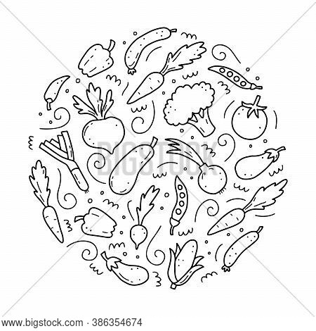 Hand Drawn Set Of Vegetable Elements, Carrot, Salad, Tomato, Onion, Lettuce, Chili. Comic Doodle Ske