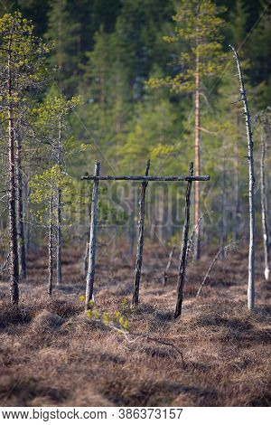 A Past Time Aid For Lifting Peat Left In The Swamp