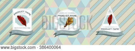 Three Colored Labels With Illustration Of Bromeliad Stock Illustration
