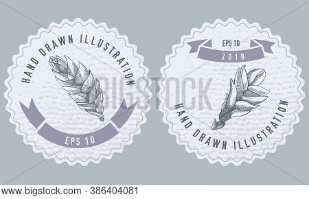 Monochrome Labels Design With Illustration Of Bromeliad Stock Illustration