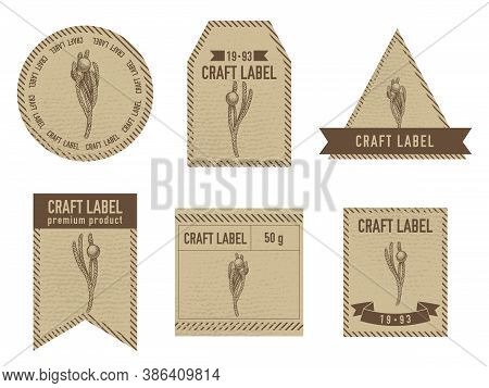 Craft Labels Vintage Design With Illustration Of Brunia Stock Illustration