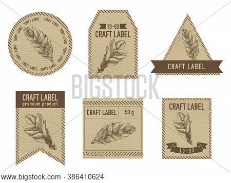 Craft Labels Vintage Design With Illustration Of Bromeliad Stock Illustration