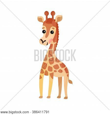 Spotted Giraffe With Long Neck As African Animal Vector Illustration