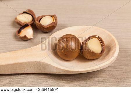 Macadamia Nuts - Macadamia Integrifolia; Photo On Wood Background.