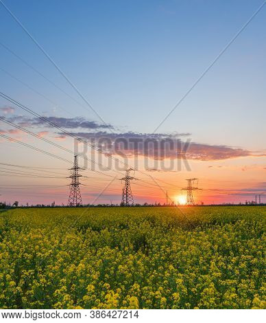Power Lines And High-voltage Lines Against The Backdrop Of Blooming Oilseed Rape At Sunset. Green En