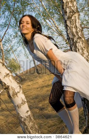 Beauty Girl Sit On The Birch Tree