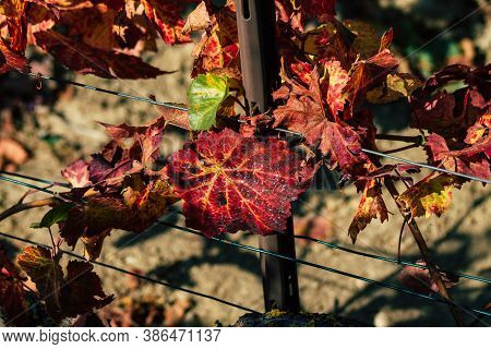 Colors Of France