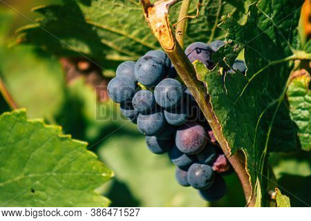 Colors Of France
