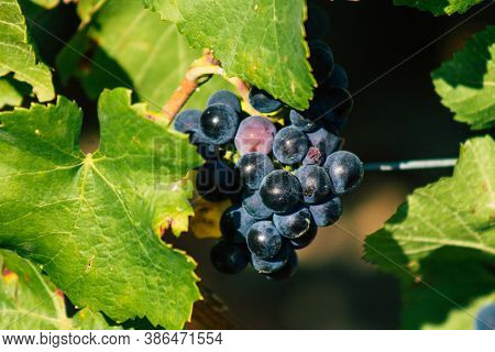 Colors Of France