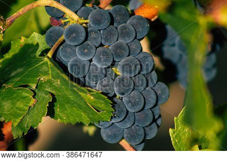 Colors Of France