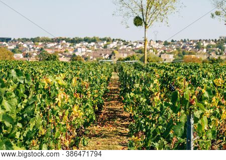 Colors Of France