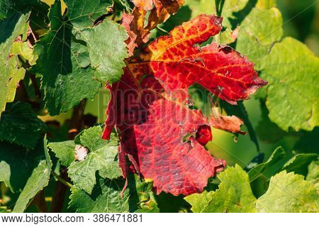 Colors Of France
