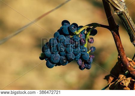 Colors Of France