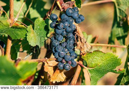Colors Of France