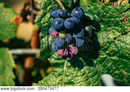 Colors Of France