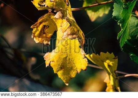 Colors Of France