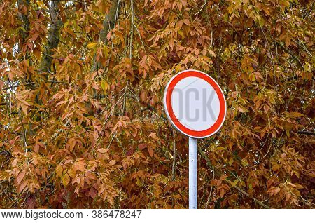 Round Prohibiting Road Sign No Traffic Against The Background Of Yellowed Autumn Trees In The Park. 