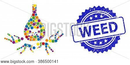 Vibrant Mosaic Dead Poisoned People, And Weed Rubber Rosette Seal. Blue Seal Has Weed Caption Inside