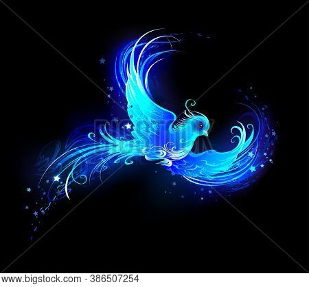 Flying, Light Bird From Blue Flame With Stars On Black Background. Phoenix.