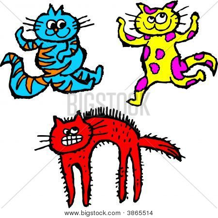 Pis kedi