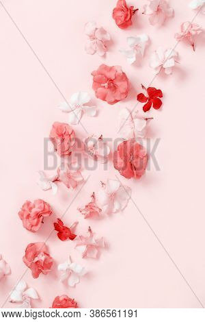 Pink Flowers On A Pink Background Top View