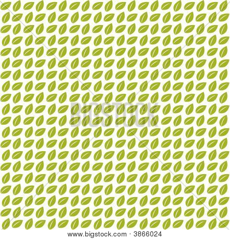 Leafs ลวดลาย