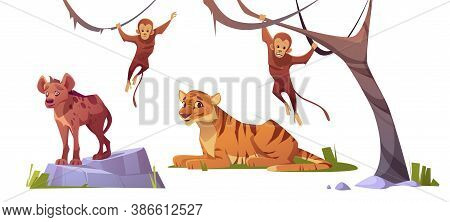 Cartoon Wild Animals Tiger, Monleys And Hyena, Jungle Inhabitants Predators And Herbivorous In Zoo P