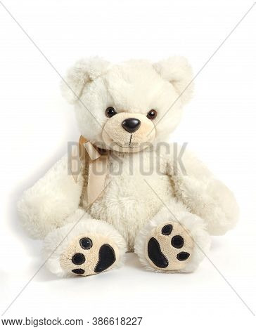 Children's Soft Toy - White Teddy Bear On A White Background