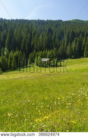 Mountain Landscape At Summer Along The Road To Campolongo Pass, Dolomites, Bolzano Province, Trentin