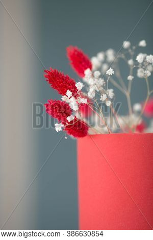 Ceramic Coral Mug With Dry Soft Autumn Red And White Flowers , Lagurus Ovatus Grass Or Bunny Tail Gr