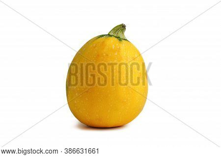 Yellow Vegetable Marrow Close Up On A White Background Isolated