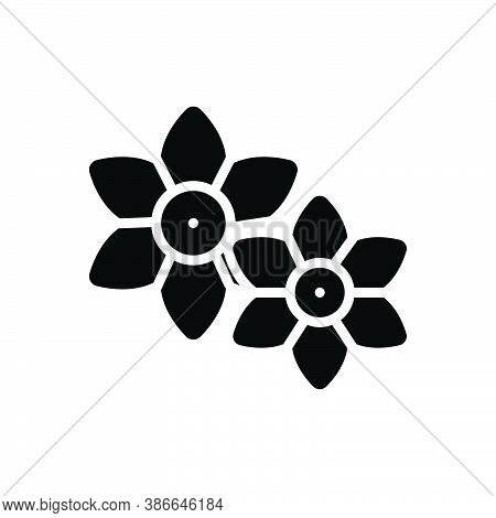 Black Solid Icon For Motia Pikake Magnolia Heat-loving Burgeon Summer Gardenia Aromatherapy Horticul