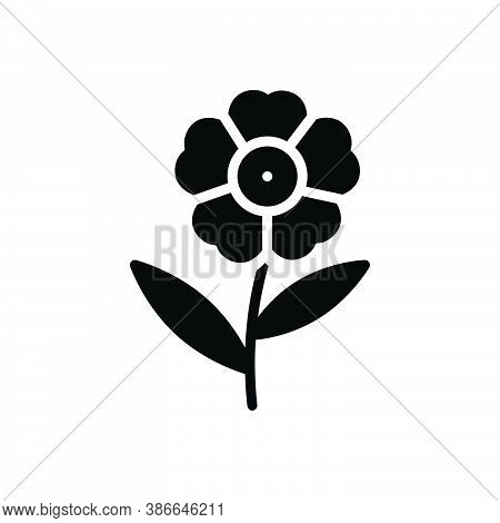 Black Solid Icon For Oleander Nerium Geranium-flower Peony Orchid Petunia Blooming Natural Flower Bo