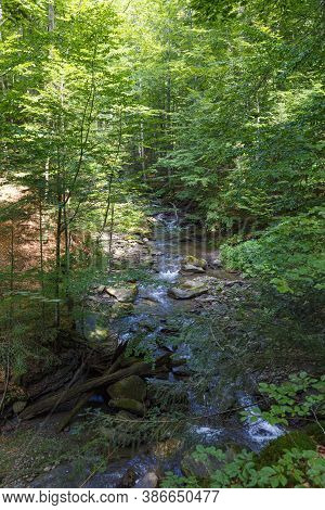 Nature Landscape With The Stream Of The Forest River At Summer. Turichka River Near Lumshory Village