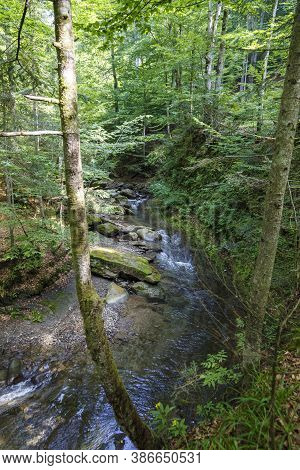 Nature Landscape With The Stream Of The Forest River At Summer. Turichka River Near Lumshory Village