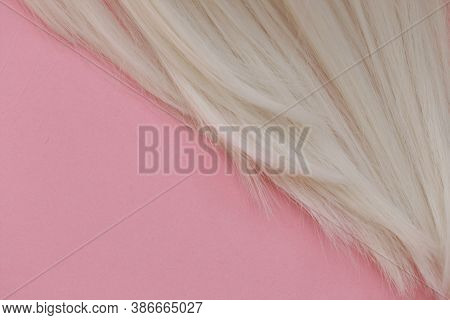 Blond Hair Concept . Blond Hair Texture. A Lock Of White Hair On A Light Pink Pastel Background.hair