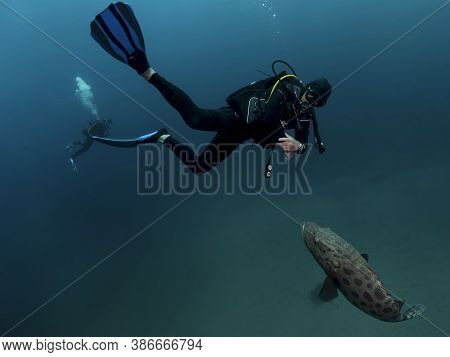 Colorful Ocean Life On A Beautiful Background