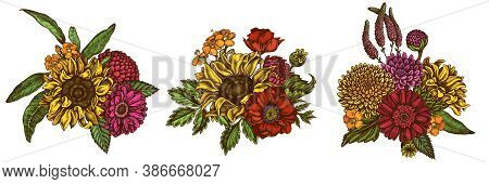 Flower Bouquet Of Colored Poppy Flower, Gerbera, Sunflower, Milkweed, Dahlia, Veronica Stock Illustr