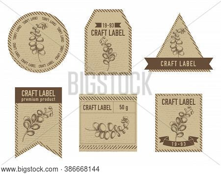 Craft Labels Vintage Design With Illustration Of Kalanchoe Stock Illustration