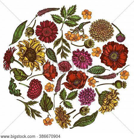 Round Floral Design With Colored Poppy Flower, Gerbera, Sunflower, Milkweed, Dahlia, Veronica Stock 