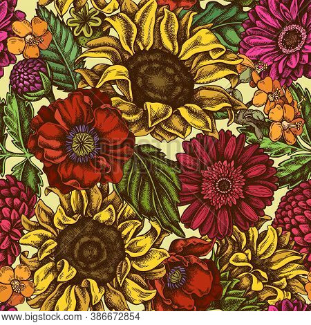 Seamless Pattern With Hand Drawn Colored Poppy Flower, Gerbera, Sunflower, Milkweed, Dahlia Stock Il