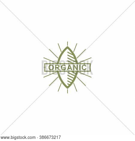 Organic Logo Template Design Vector, Tree Leaf
