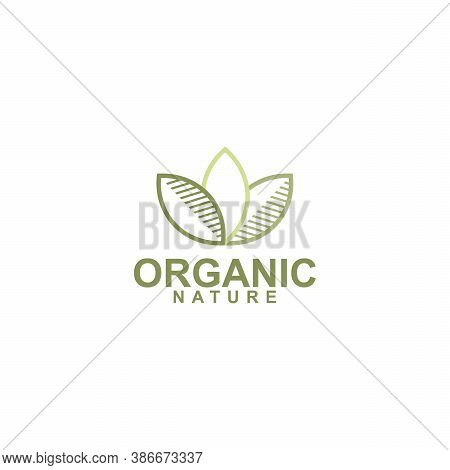 Organic Logo Template Design Vector, Tree Leaf