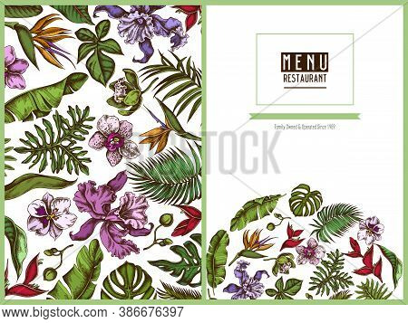 Menu Cover Floral Design With Colored Monstera, Banana Palm Leaves, Strelitzia, Heliconia, Tropical 