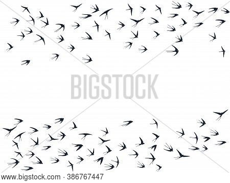 Flying Swallow Birds Silhouettes Vector Illustration. Nomadic Martlets Group Isolated On White. Pini