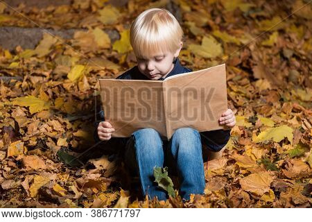 Fair Haired Cute Boy Sitting In Autumn Park And Reading Book. Child In Woods With Big Book In Hands.