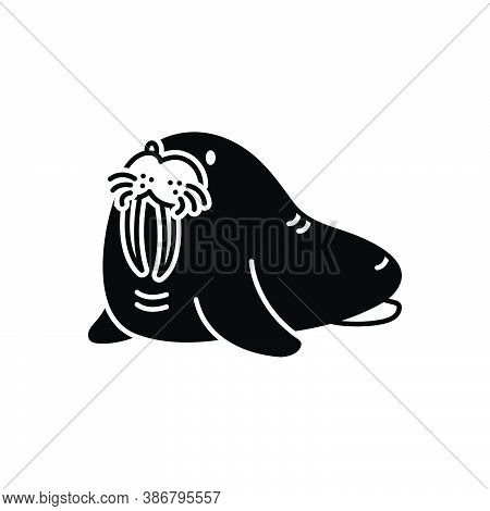 Black Solid Icon For Walrus Odobenus Pinniped Sea-horse Sea-cow Mammal Nature Ocean Predator Bizarre