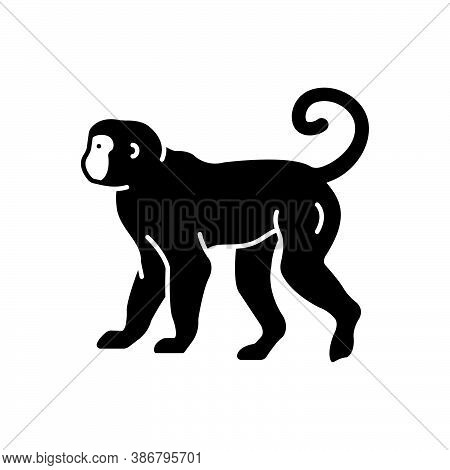 Black Solid Icon For Monkey Lemur Primate Catarrhine Platyrrhine Jump Baboon Pet Chimpanzee Omnivore