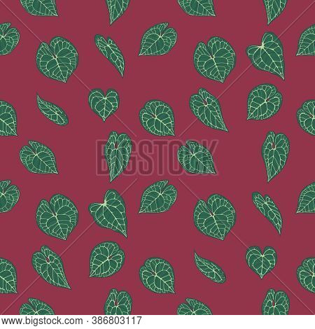 Seamless Pattern With Leaves Of Plant With Botanic Name  'anthurium Clarinervium' On Dark Red Backgr